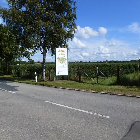 Fewo Im Alten Land Hamburg Exterior foto